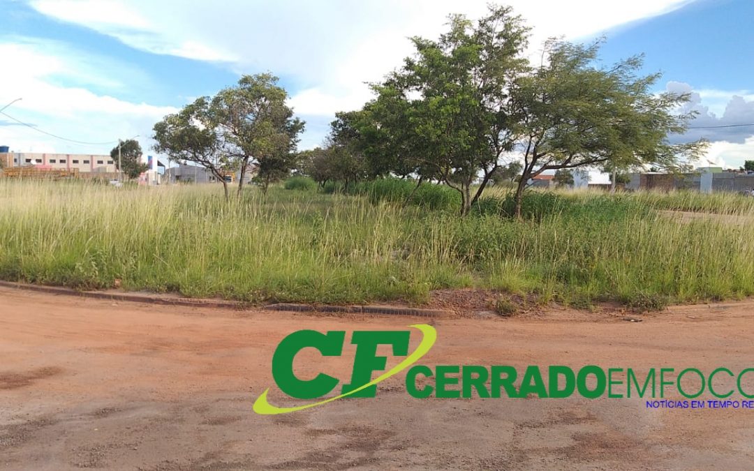 LEM: Matagais tomam conta de diversos pontos do Parque São José e Cidade Universitária