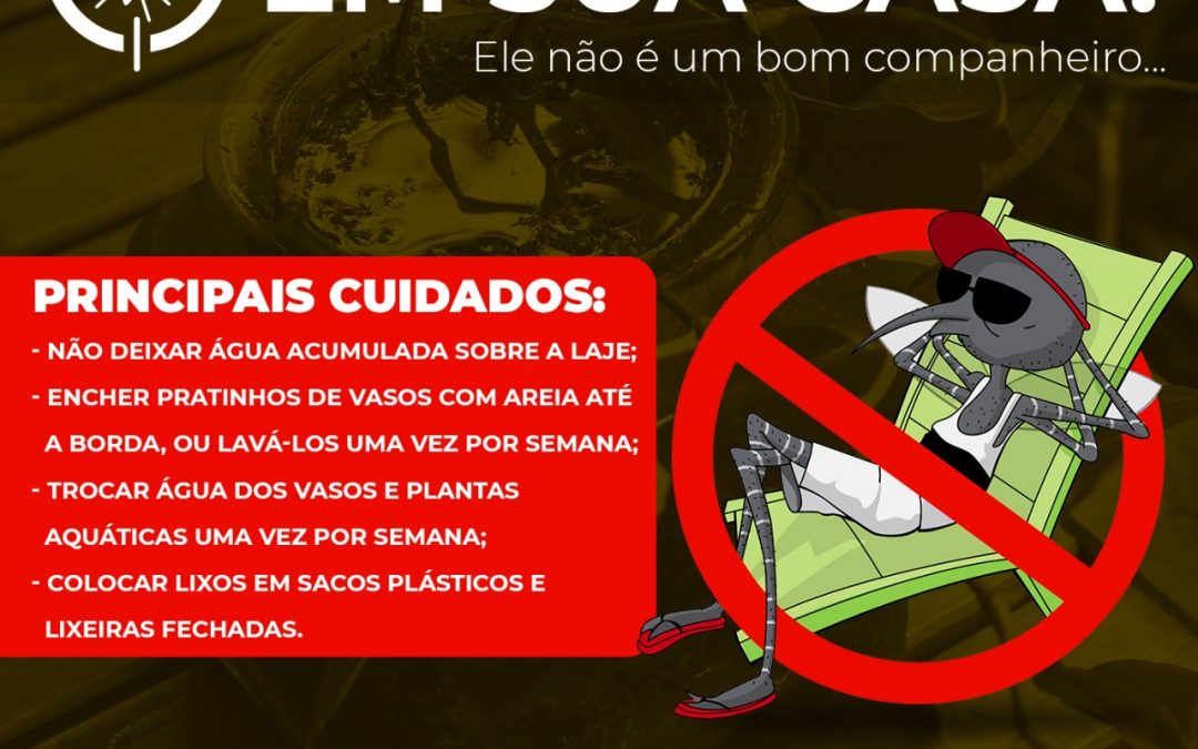 LEM: Nota oficial sobre a dengue