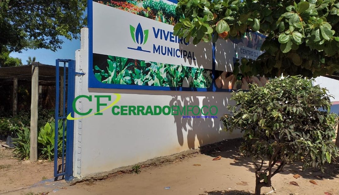 LEM: Viveiro Municipal disponibiliza mudas gratuitas para a população