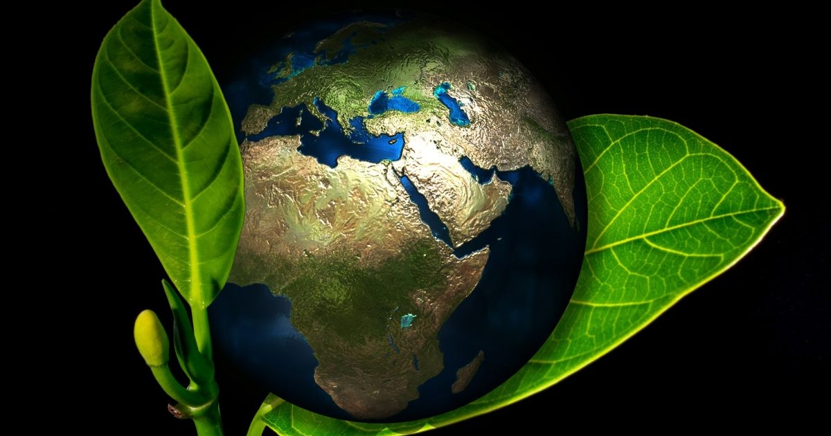Brasil: Dia Mundial do Meio Ambiente